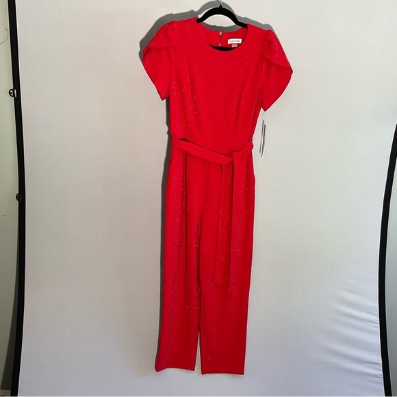 Calvin Klein Sz 10 Vibrant Red Slinky, Sparkly Jumpsuit, Zippered Back, Tie Belt - Picture 1 of 16